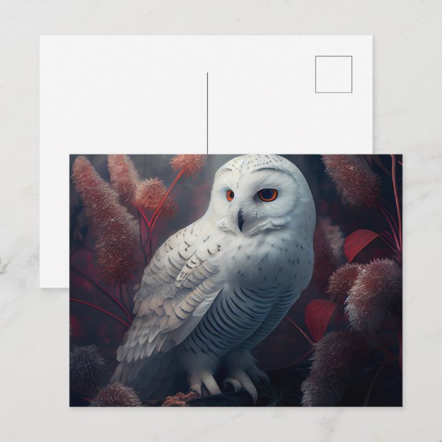 Snowy owl Postcards (Front/Back)