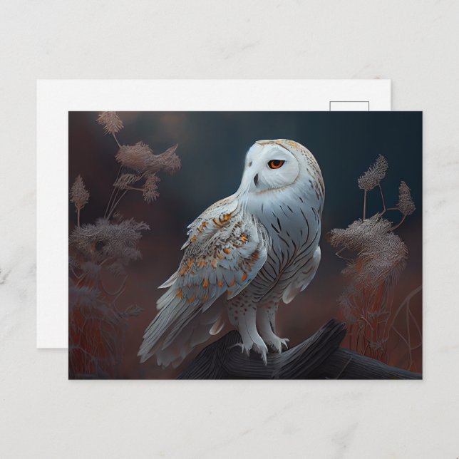 Snowy owl Postcards (Front/Back)