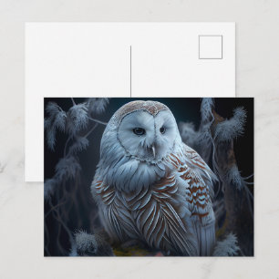 Snowy owl Postcards