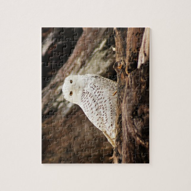 Snowy Owl Puzzle (Vertical)