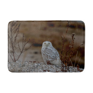 Snowy owl sitting on a rock bath mat