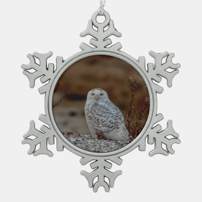 Snowy owl sitting on a rock snowflake pewter christmas ornament (Front)