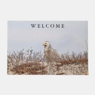 Snowy owl sitting on the beach doormat