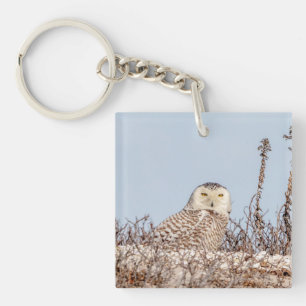 Snowy owl sitting on the beach keychain
