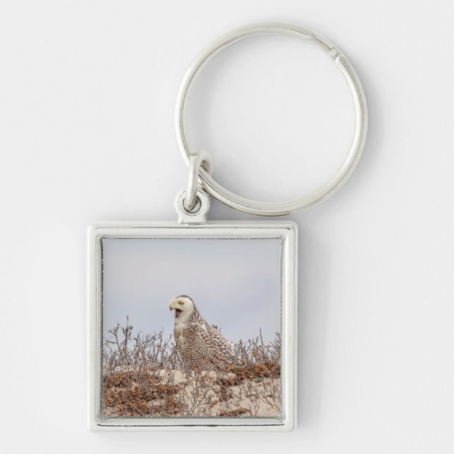 Snowy owl sitting on the beach keychain (Front)