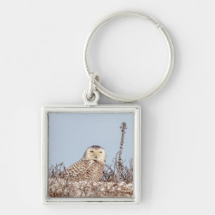 Snowy owl sitting on the beach keychain