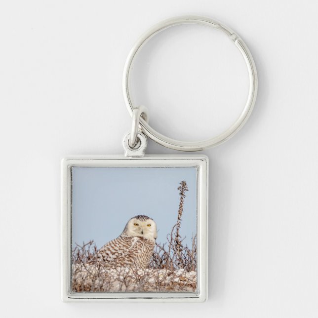 Snowy owl sitting on the beach keychain (Front)