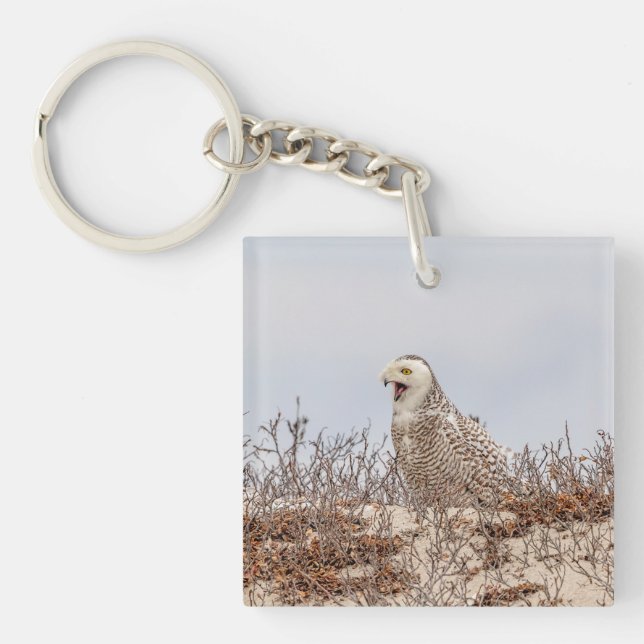 Snowy owl sitting on the beach keychain (Front)