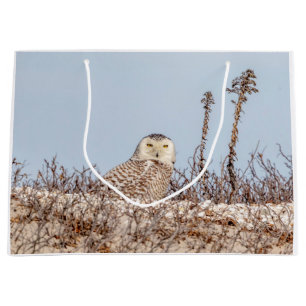 Snowy owl sitting on the beach large gift bag