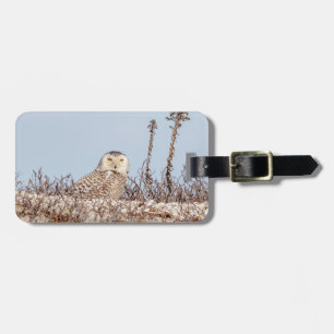 Snowy owl sitting on the beach luggage tag