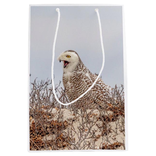 Snowy owl sitting on the beach medium gift bag (Front)
