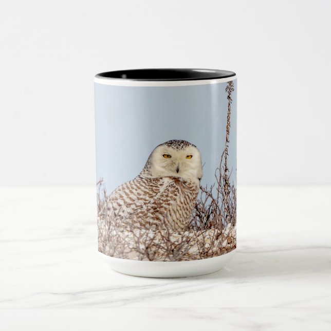Snowy owl sitting on the beach mug (Center)
