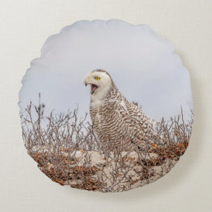 Snowy owl sitting on the beach round pillow