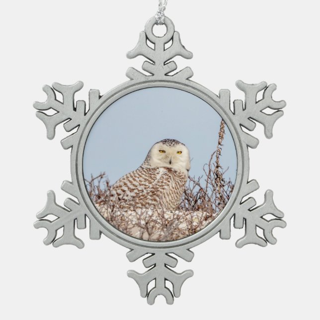Snowy owl sitting on the beach snowflake pewter christmas ornament (Front)