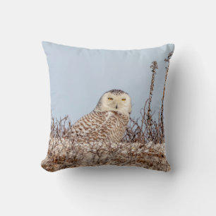 Snowy owl sitting on the beach throw pillow