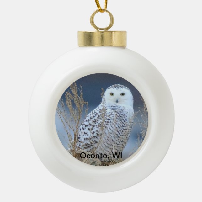 Snowy Owl Snowball Ornament (Front)