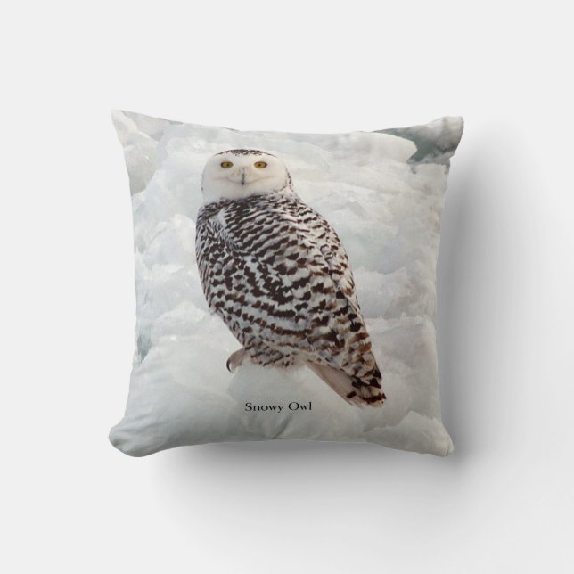 Snowy Owl square pillow (Front)
