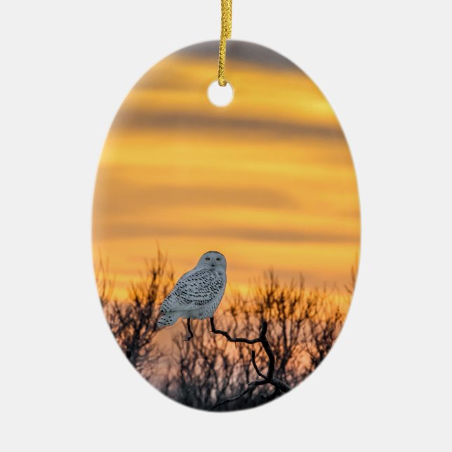 Snowy Owl Sunset Ornament (Front)