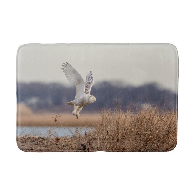 Snowy owl taking off bath mat (Front)