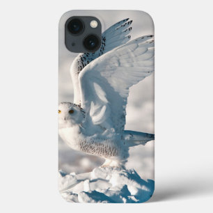 Snowy Owl taking off from snow iPhone 13 Case