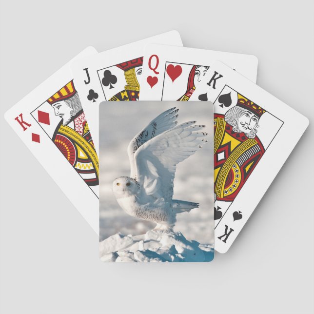 Snowy Owl taking off from snow Playing Cards (Back)