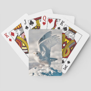 Snowy Owl taking off from snow Playing Cards