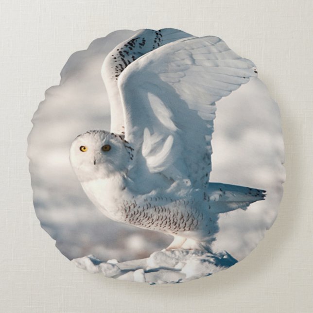 Snowy Owl taking off from snow Round Pillow (Front)