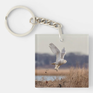Snowy owl taking off keychain