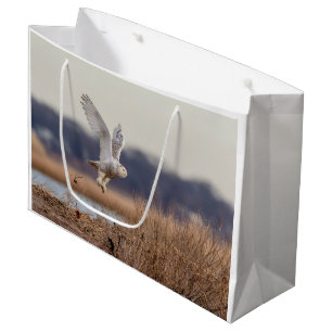 Snowy owl taking off large gift bag