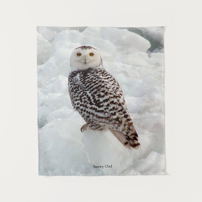 Snowy Owl tapestry (Front)