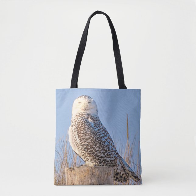 Snowy owl - tote bag (Front)
