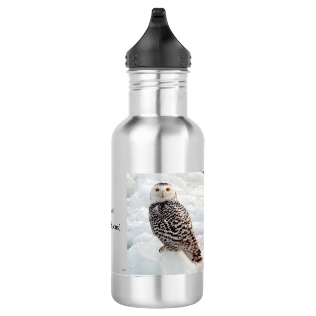 Snowy Owl water bottle (Right)