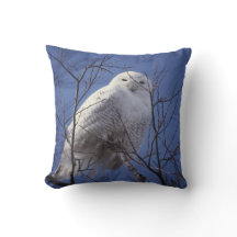 Snowy Owl, White Bird against a Sapphire Blue Sky
