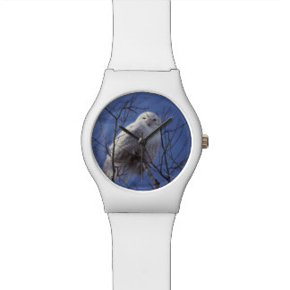 Snowy Owl, White Bird against a Sapphire Blue Sky Watch