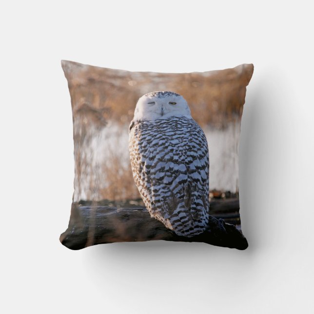 Snowy Owl Winking Throw Pillow (Front)
