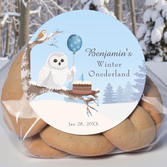 Snowy Owl Winter Onederland Birthday  Classic Round Sticker (Creator Uploaded)