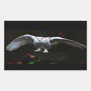Snowy Owl With Open Wings stcna Sticker