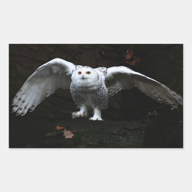 Snowy Owl With Open Wings stm Sticker (Front)