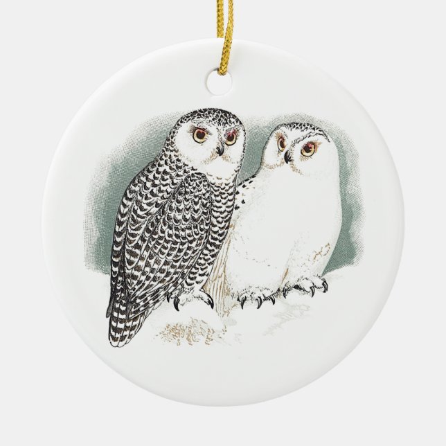 Snowy Owls Ceramic Ornament (Front)