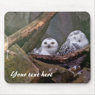 Snowy Owls Mousepad