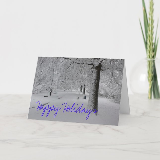 Snowy Path, Happy Holidays Holiday Card (Front)