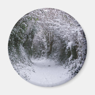 Snowy Path Magnet