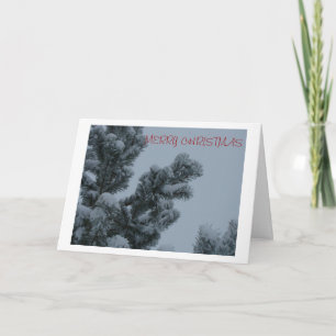 Snowy Pine Boughs, Peace Holiday Card