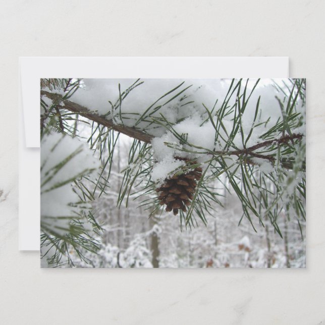 Snowy Pine Branch Winter Nature Photography (Front)