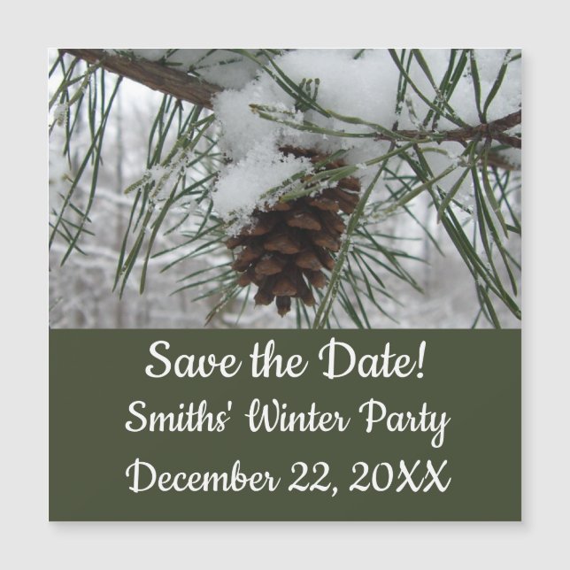 Snowy Pine Branch Winter Nature Photography (Front)