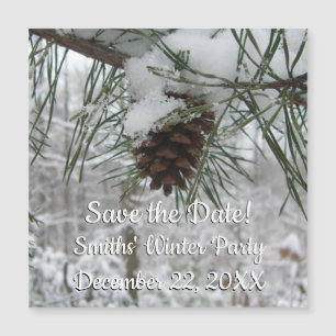 Snowy Pine Branch Winter Nature Photography