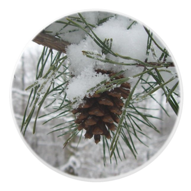 Snowy Pine Branch Winter Nature Photography Ceramic Knob (Front)