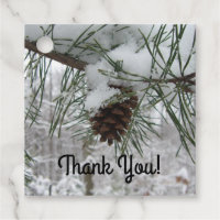 Snowy Pine Branch Winter Nature Photography