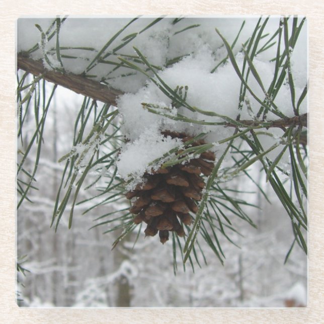 Snowy Pine Branch Winter Nature Photography Glass Coaster (Front)