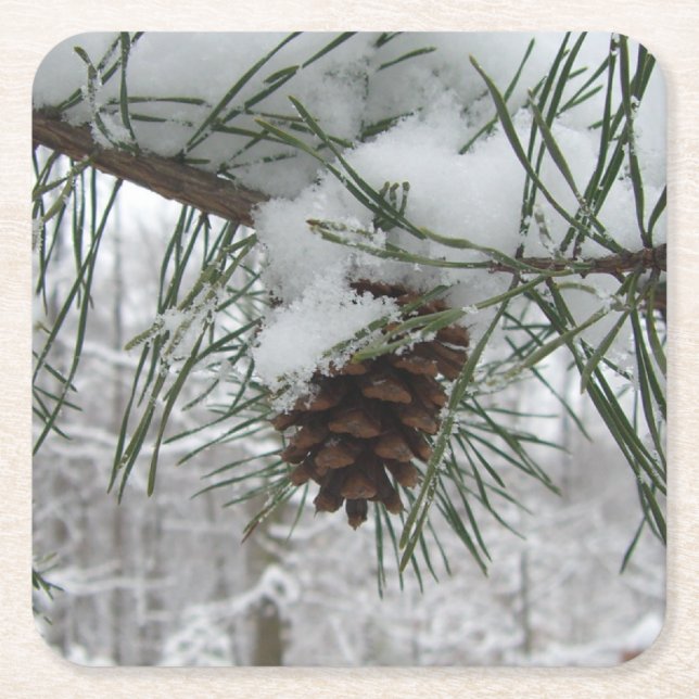 Snowy Pine Branch Winter Nature Photography Square Paper Coaster (Front)